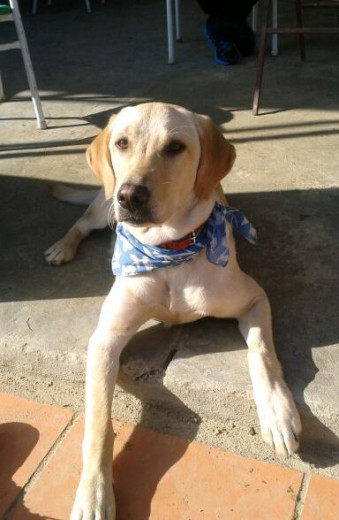 DUNA CON SIETE MESES DUNA CON SIETE MESES